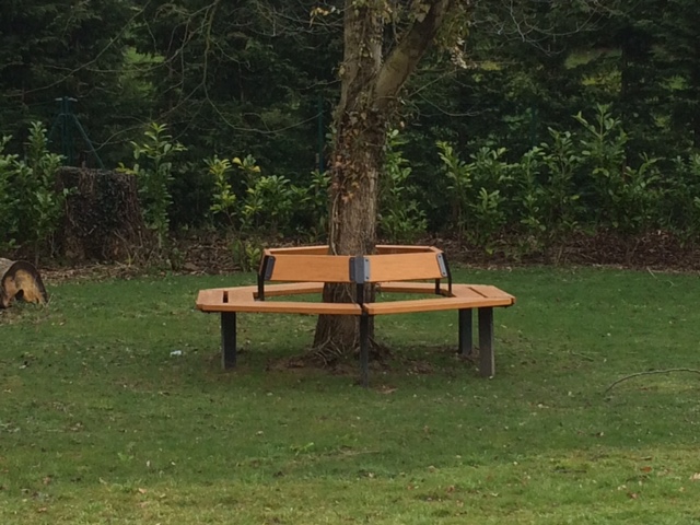 bench around a tree 2